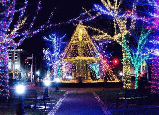 fountain tree