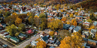 PPD image1