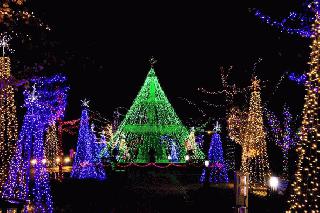 fountain lights